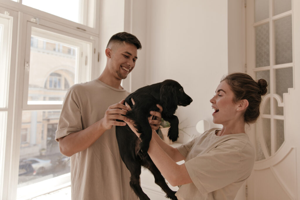 Boy making surprise for girlfriend and gifting little puppy at light studio. Pretty young lady with collected hair receiving dog from gentleman in beige t-shirt